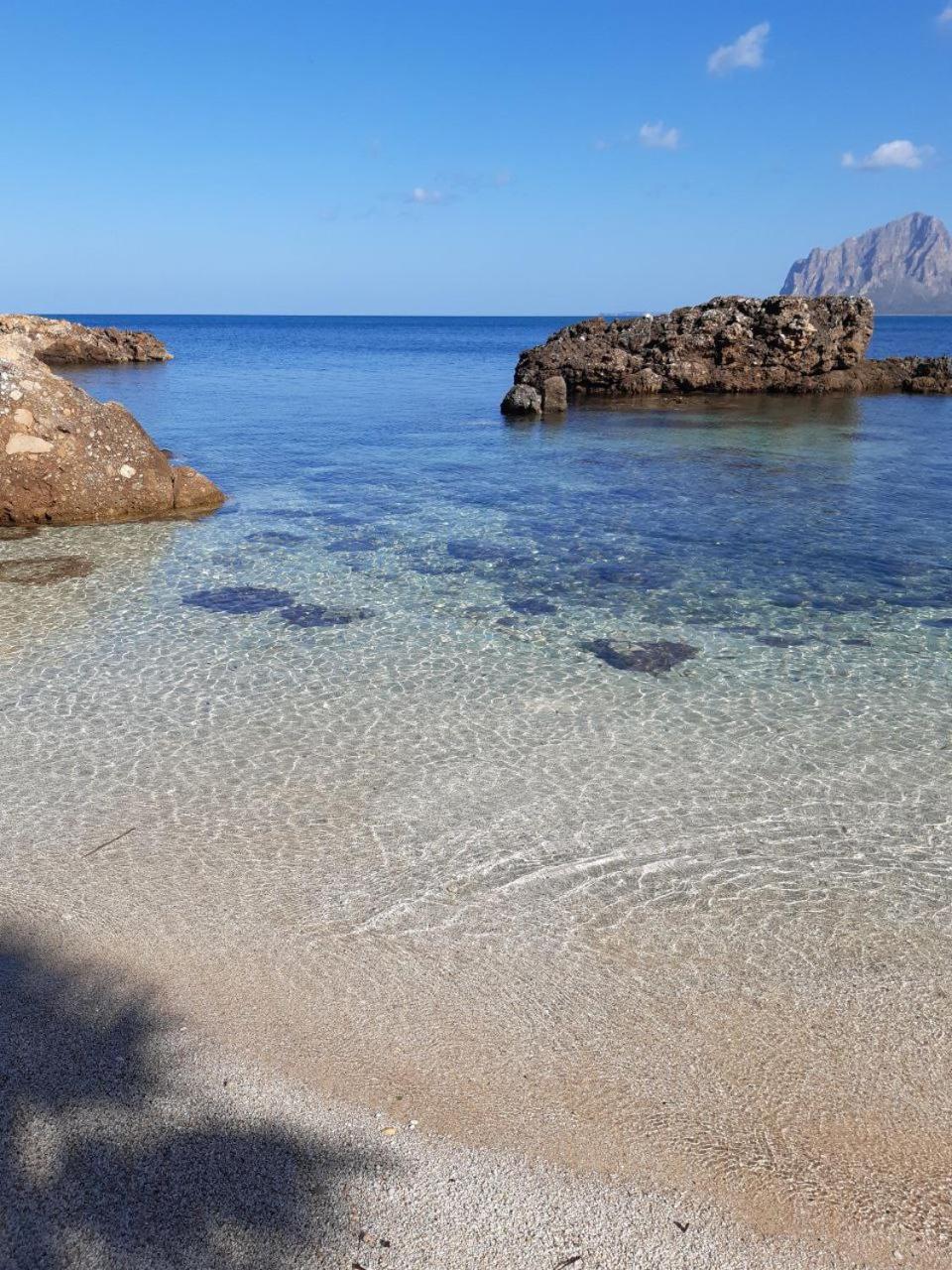 Il Colore Del Mare Tonnara di Bonagia 외부 사진